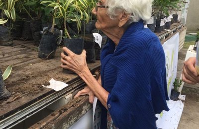 Planta Maceió: população recebe mudas para ampliar arborização