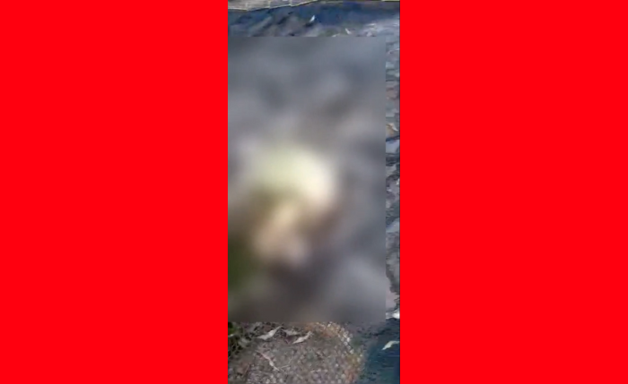 Crânio humano foi encontrado em Mar Vermelho Crânio humano foi encontrado em Mar Vermelho
