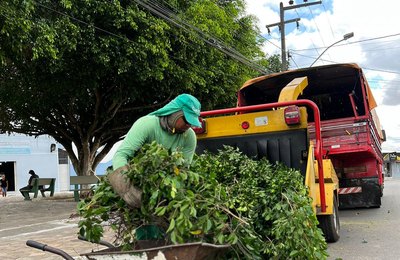  Arapiraca sustentável: projeto inovador transforma restos de poda em adubo para agricultores familiares