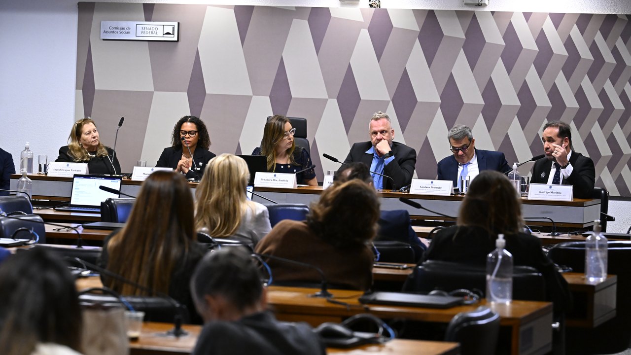 Conceito e questões de saúde contrapõem debatedores sobre ultraprocessados