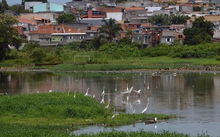 Comissão debate os 10 anos da encíclica 'Laudato Si' sobre meio ambiente