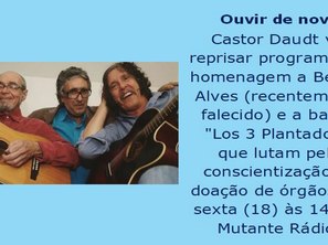 Castor Daudt