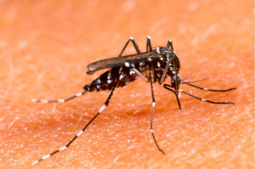 Sesc participa do Dia D de Combate ao Aedes aegypti em Alagoas na sexta, 25