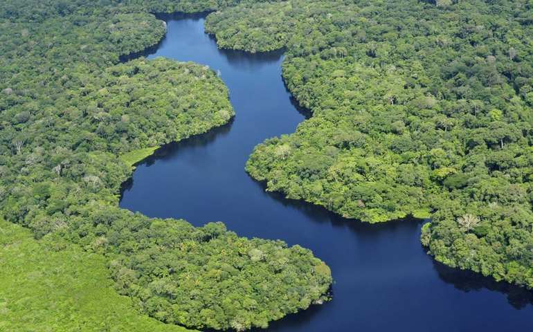 Alertas de desmate na Amazônia em 10 meses respondem por 92% das perdas em 2019