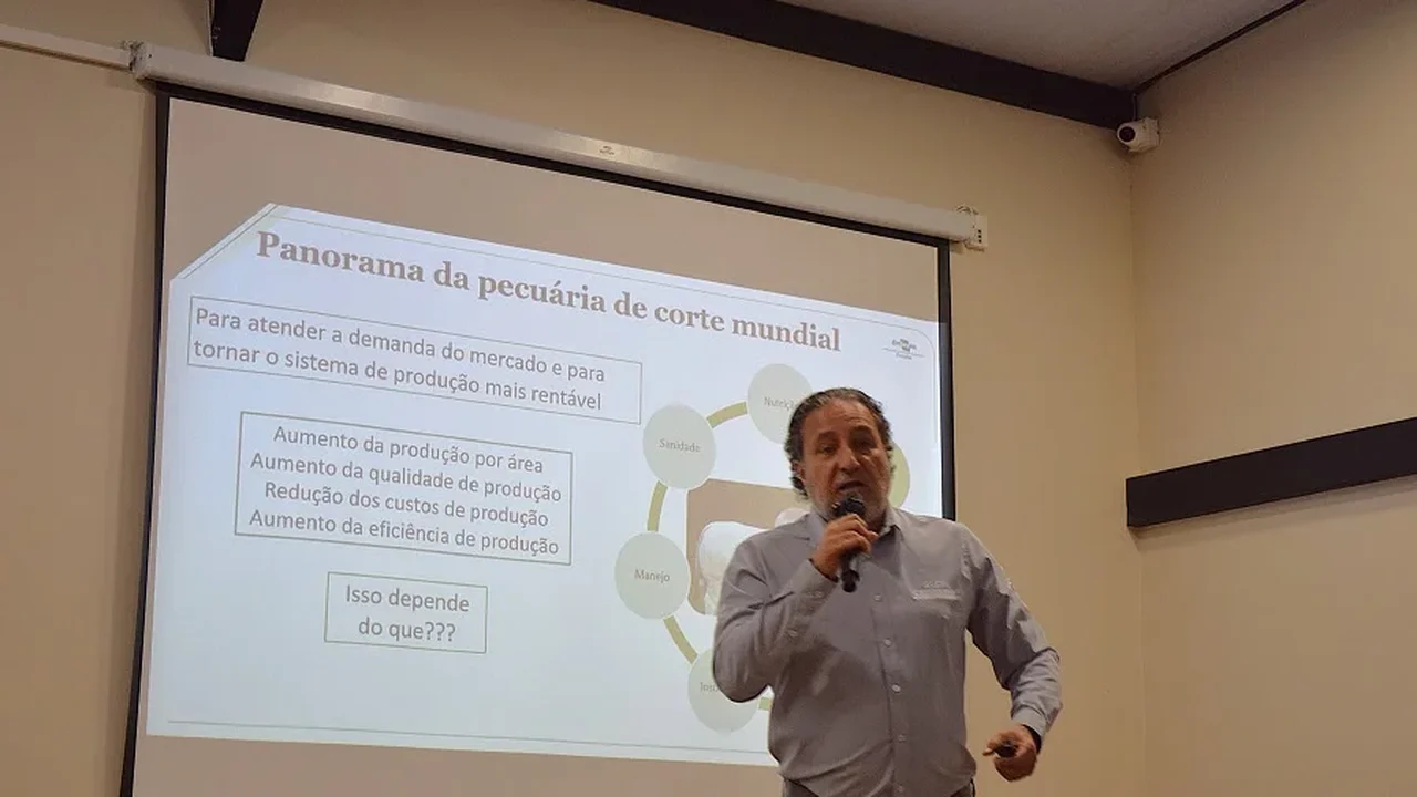 Touros melhoradores são uma ferramenta de lucro na pecuária de corte