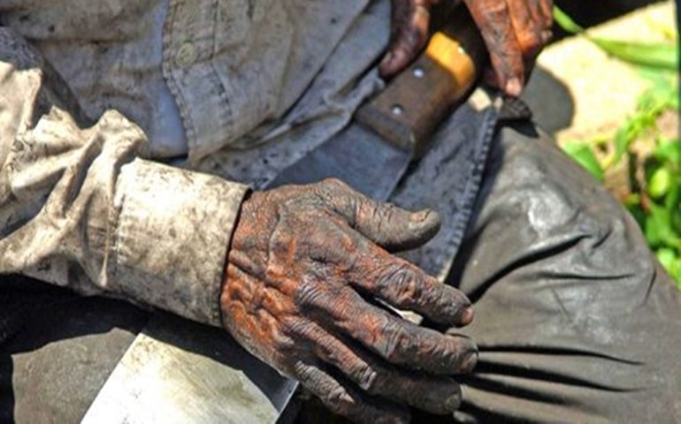 1113 trabalhadores foram salvos de condições precárias em 2018