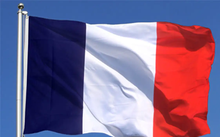 Imposto colonial: por que 14 países africanos ainda pagam taxas à França?