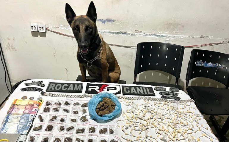 PM registra prisões e apreensões no Agreste, capital e Zona da Mata