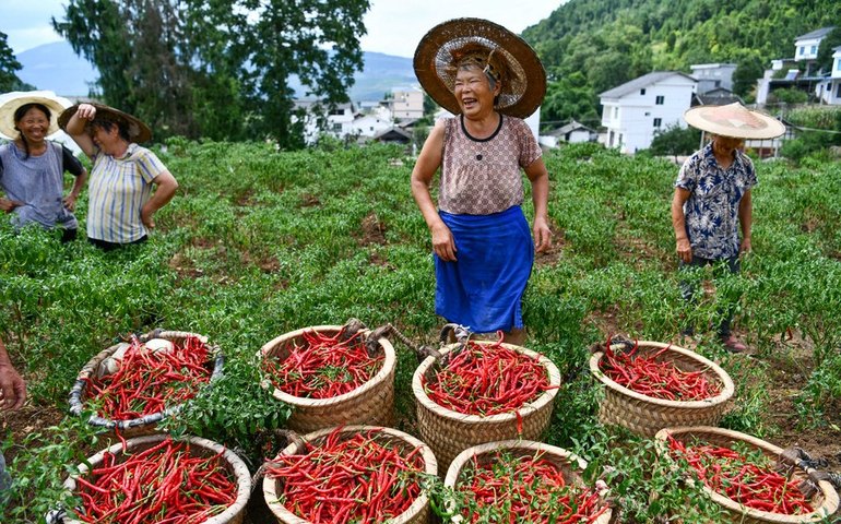 Na China rural, mulheres se unem contra séculos de tradição e exigem os mesmos direitos concedidos aos homens