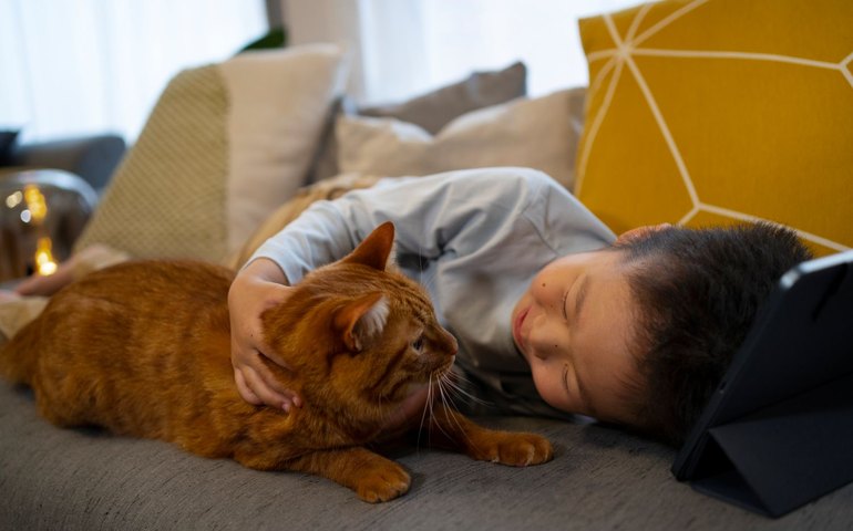 Animais de estimação em apartamentos exigem cuidados especiais