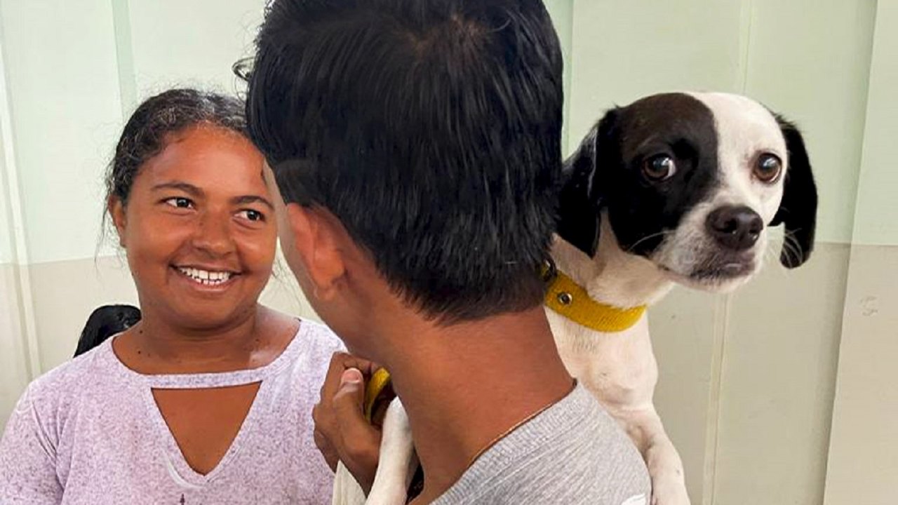 Prefeitura de Arapiraca bate recorde com mais de 38 mil animais vacinados