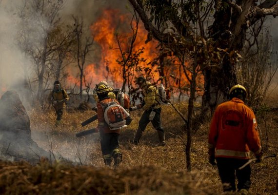 Medida provisória flexibiliza transferência de recursos para combate a incêndios florestais