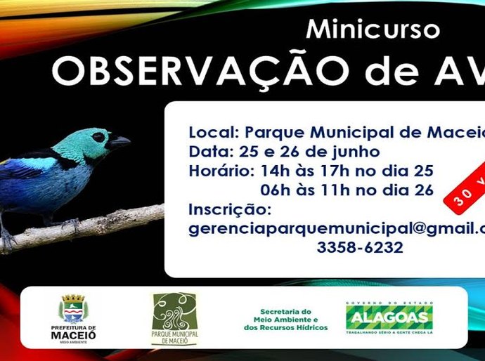 Parque Municipal de Maceió oferece curso de observação de aves