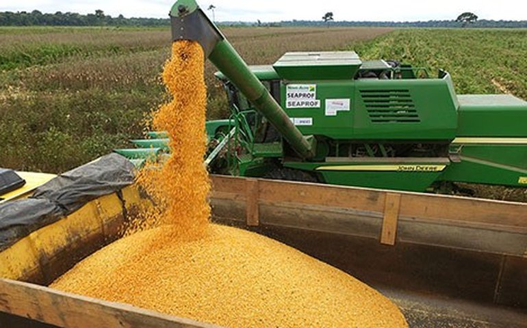 Segunda previsão da Conab para safra 2024/25 indica produção 8,2% maior ante 2022/23