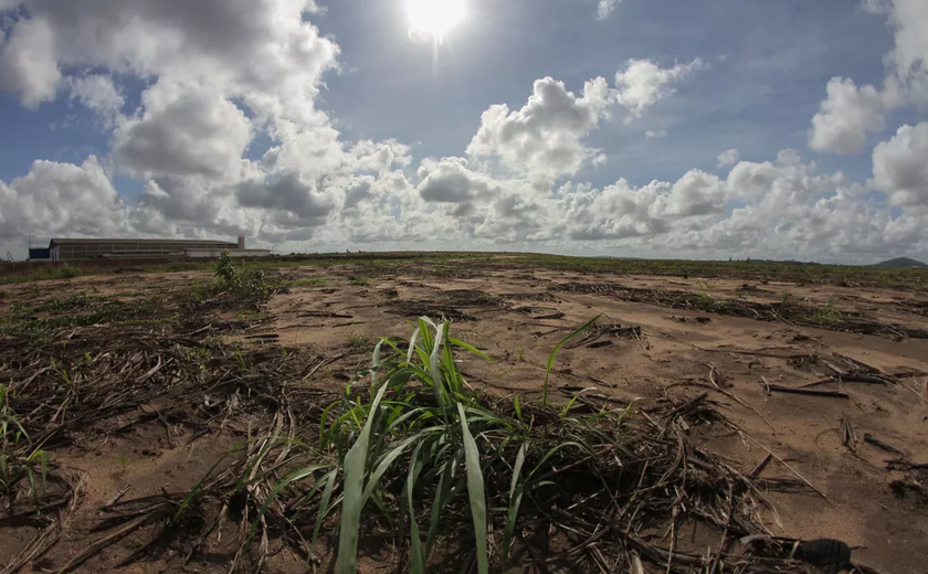 Pernambuco declara situação de emergência em 117 municípios devido à estiagem prolongada