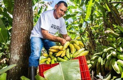 Cooperativas da agricultura familiar contribuem para o combate à insegurança alimentar em Alagoas