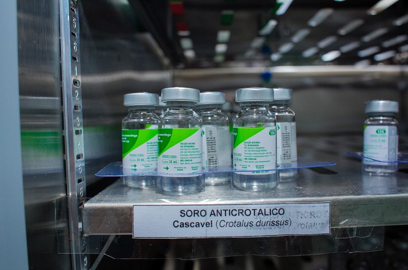 UPA de Coruripe é referência regional no atendimento a vítimas de animais peçonhentos