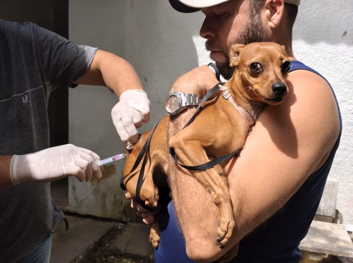 Dia D de Vacinação Antirrábica imuniza mais de 4 mil animais em Penedo