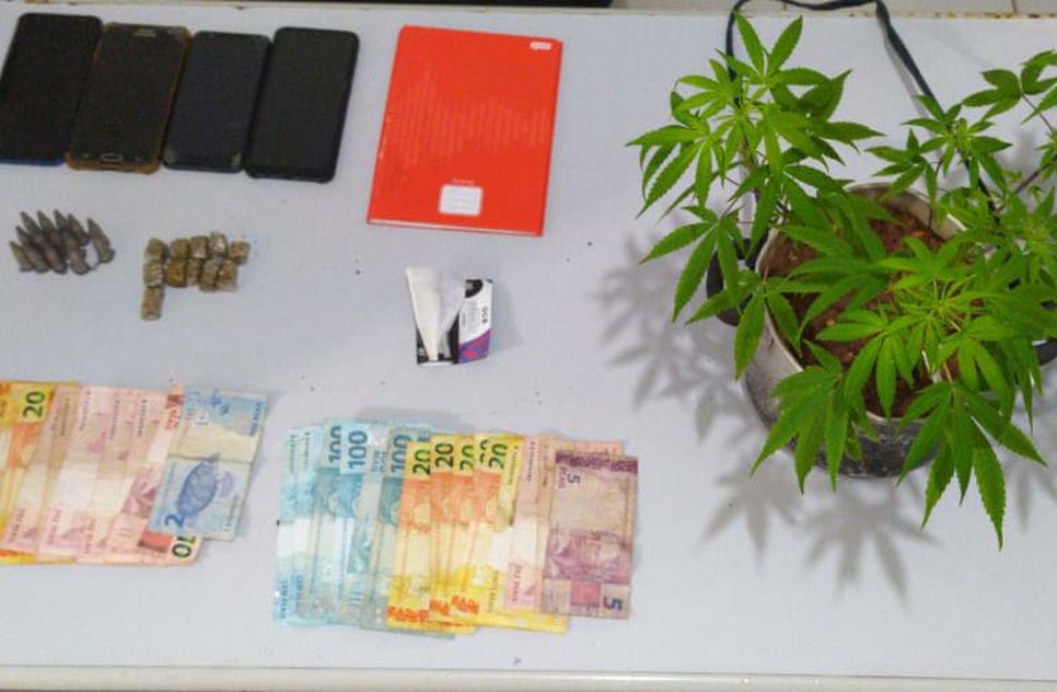 DROGAS SÃO DOMINGOS / Foto: SSP