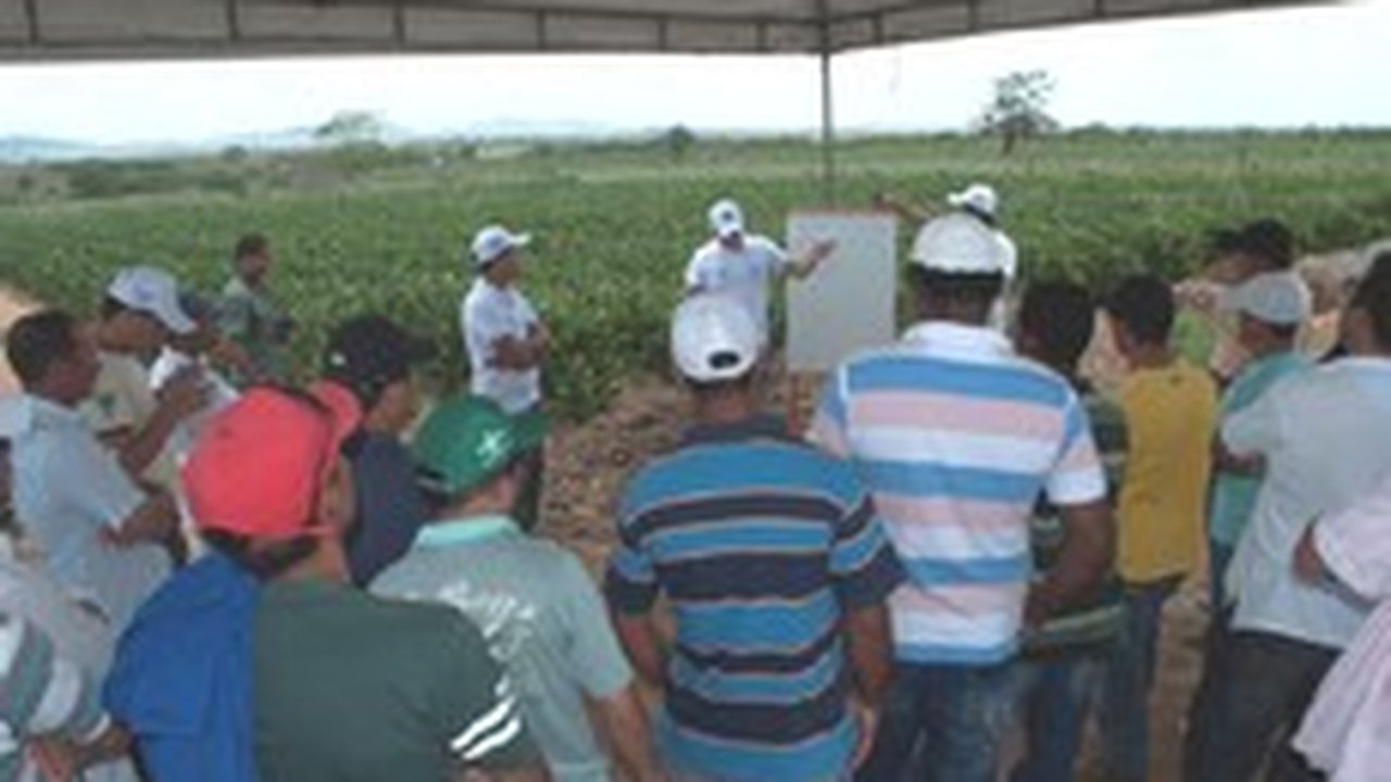 Agricultores conhecem novas técnicas de produção leiteira