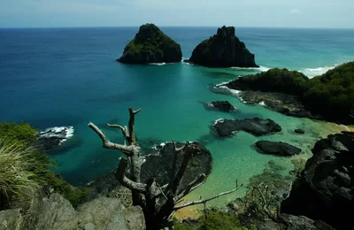 Quase 50% dos turistas usam redes como fonte de informação de viagem