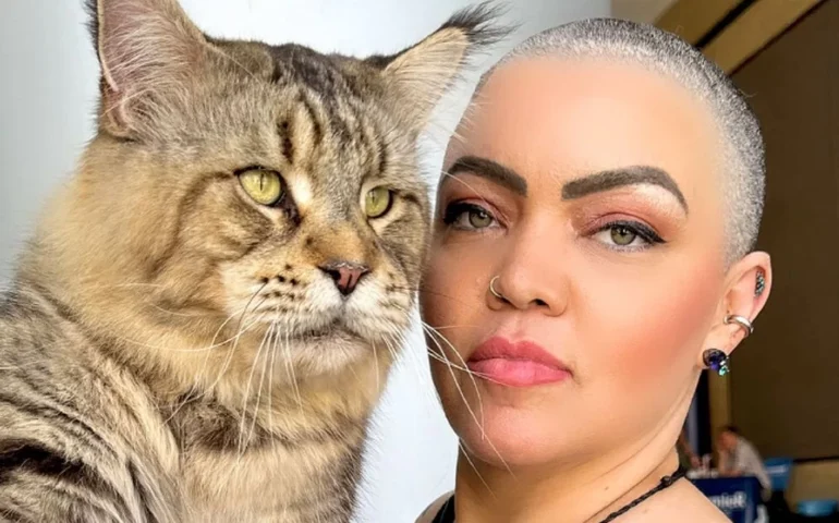 Conheça Xartrux, gato brasileiro que pode entrar para o 'Guinness Book' como o maior do mundo