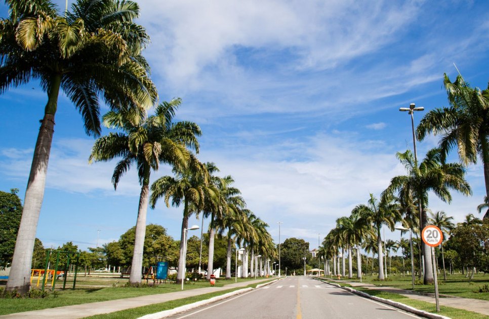 SEMENTEIRA / Foto: Foto: Governo de Sergipe