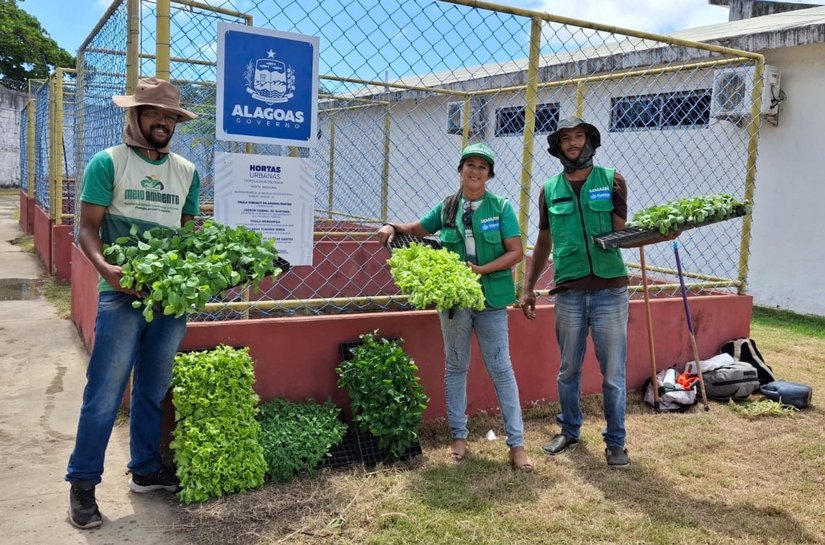 Secretaria de Meio Ambiente implementa duas hortas na Superintendência de Medidas Socioeducativas