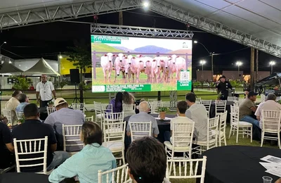 Expoagro-AL terá maior temporada de leilões da história, com 15 remates confirmados