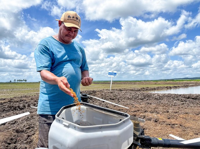 Programa Alagoas Mais Arroz leva inovação e tecnologia para melhorar produtividade do Baixo São Francisco
