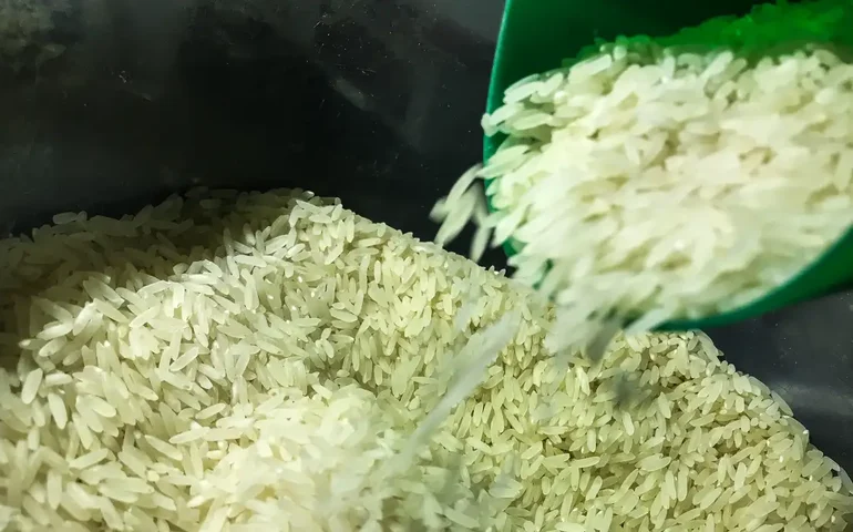 Governo federal institui programa para estimular produção de arroz