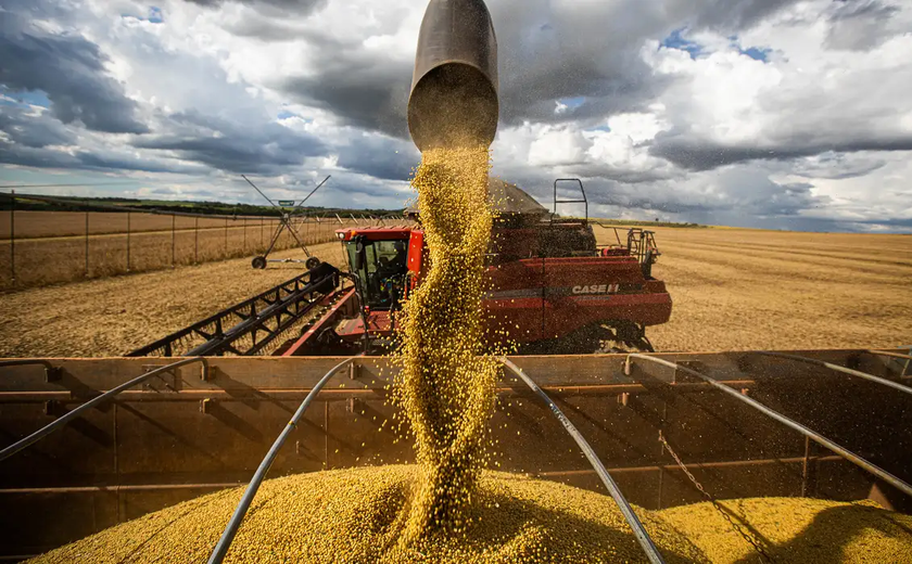 PIB agropecuário cai 1,5% em relação a 2023