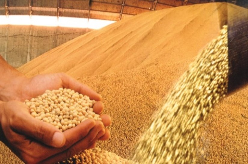 Embrapa aponta Alagoas com potencial para produção de soja