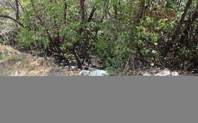 Fiscalização verifica ocupações irregulares na Barra Nova