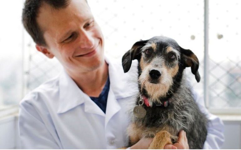 Primeira influencer pet do Brasil, Estopinha está doente; 'Não perdi as esperanças', diz tutor