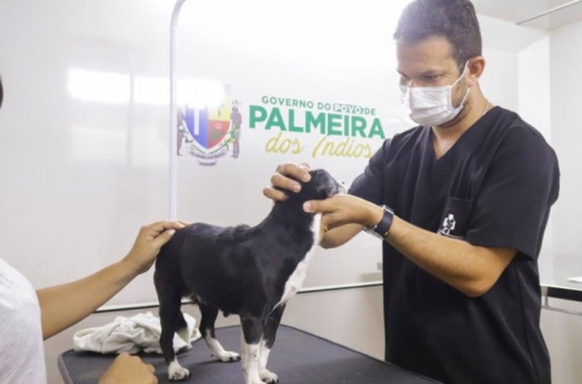 Pet Amigo promove palestra para protetores independentes e ONG’s em Palmeira
