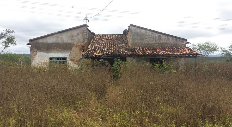 ossada canina em casa abandonada