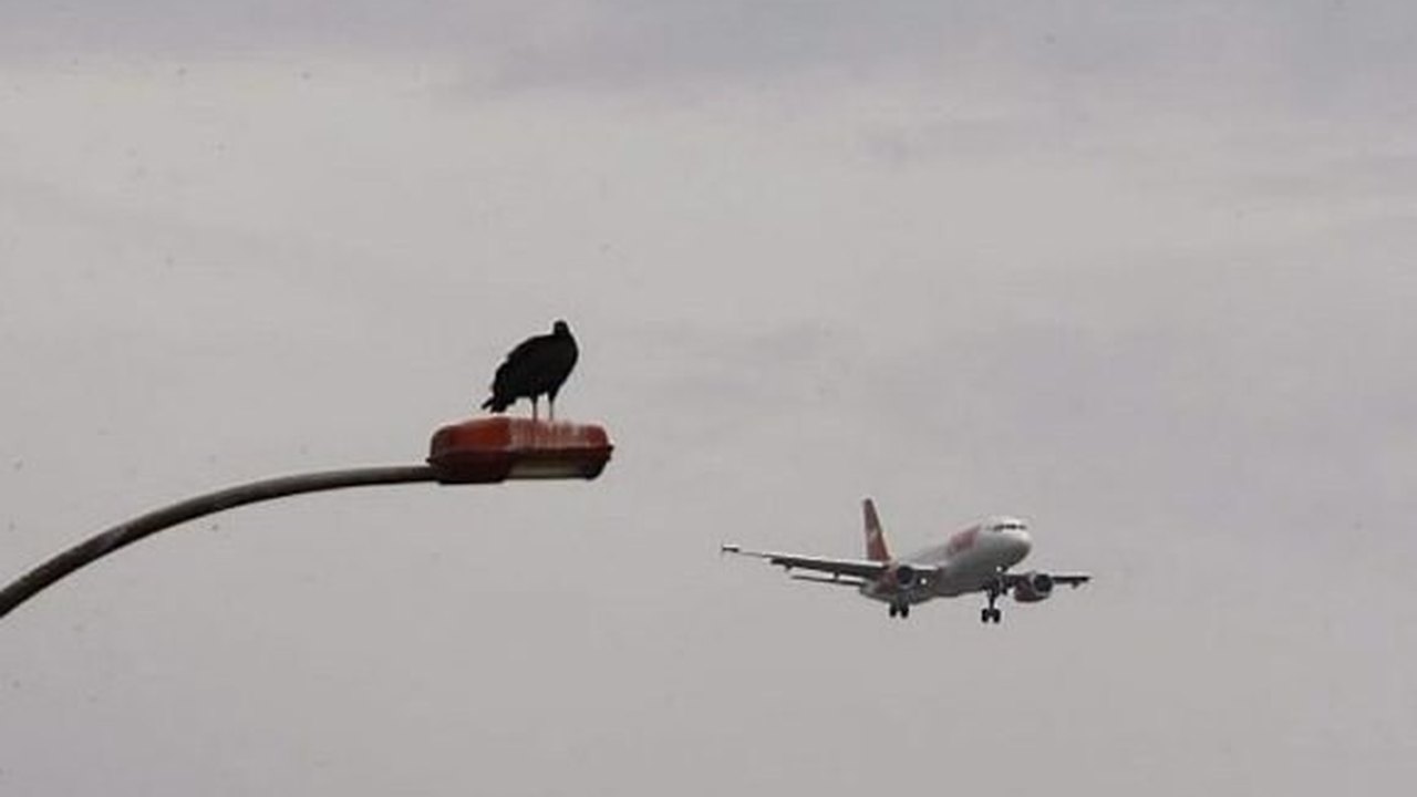 Estado quer resolver problema do lixo no entorno do Aeroporto de Maceió