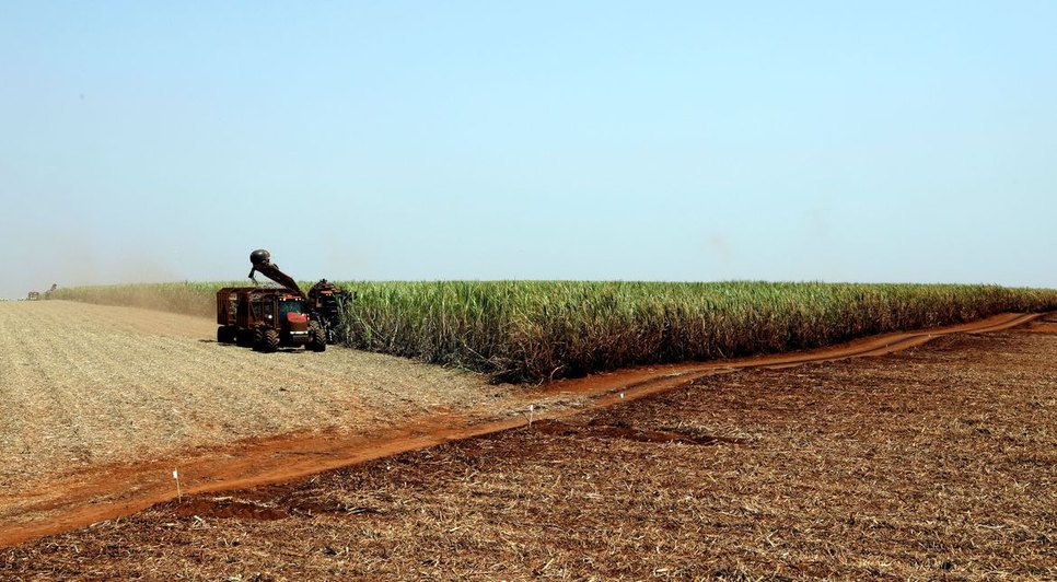 plantacao_de_soja_soja_agricultura1103209901.jpg