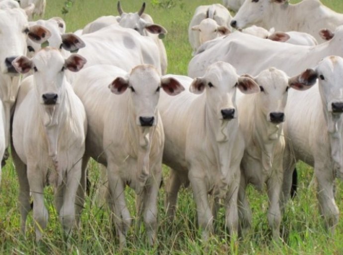 Seagri investe na capacitação de pequenos produtores