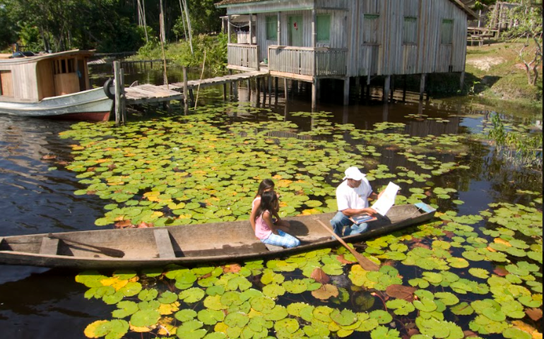 Vaga Lume é uma das vencedoras do prêmio United Earth Amazônia