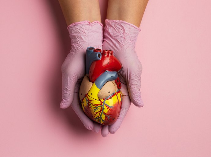 Doenças cardiovasculares matam 400 mil brasileiros por ano e atingem 20,5 milhões de pessoas no mundo
