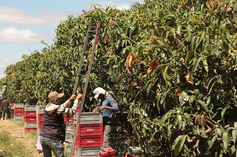 Banco do Nordeste conclui primeiros lotes da licitação do Agroamigo