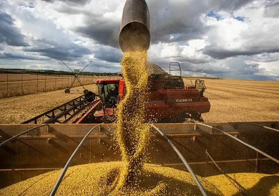 Bradesco: Safra recorde deve frear inflação de alimentos após pressão da seca