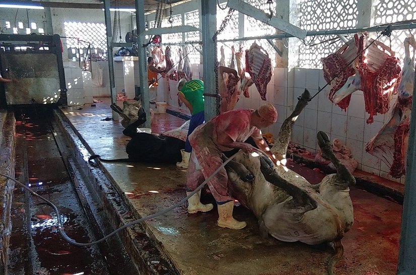 Após ação do MPE, Justiça interdita o Matadouro Público de Capela
