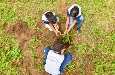 Coruripe promove Semana do Meio Ambiente com ações educativas e lançamento da 2ª edição da Gincana Ambiental