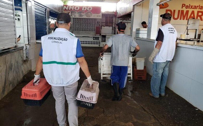 Mercado da Produção recebe ação de recolhimento de animais