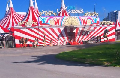 Circo Maximus estreia temporada de apresentações no Parque Shopping Maceió