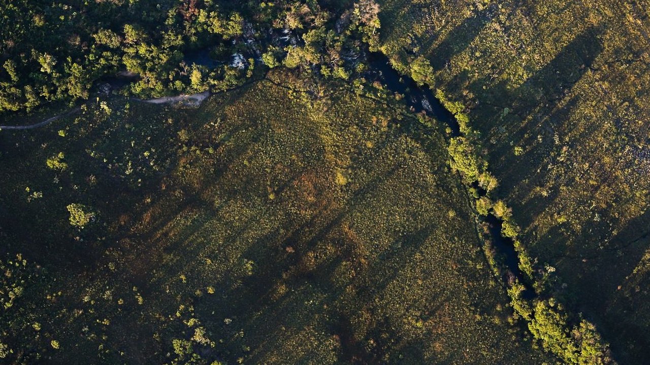 Desmatamento do Cerrado ameaça segurança hídrica de todo o Brasil