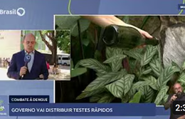 Governo vai distribuir testes rápidos para diagnóstico da dengue